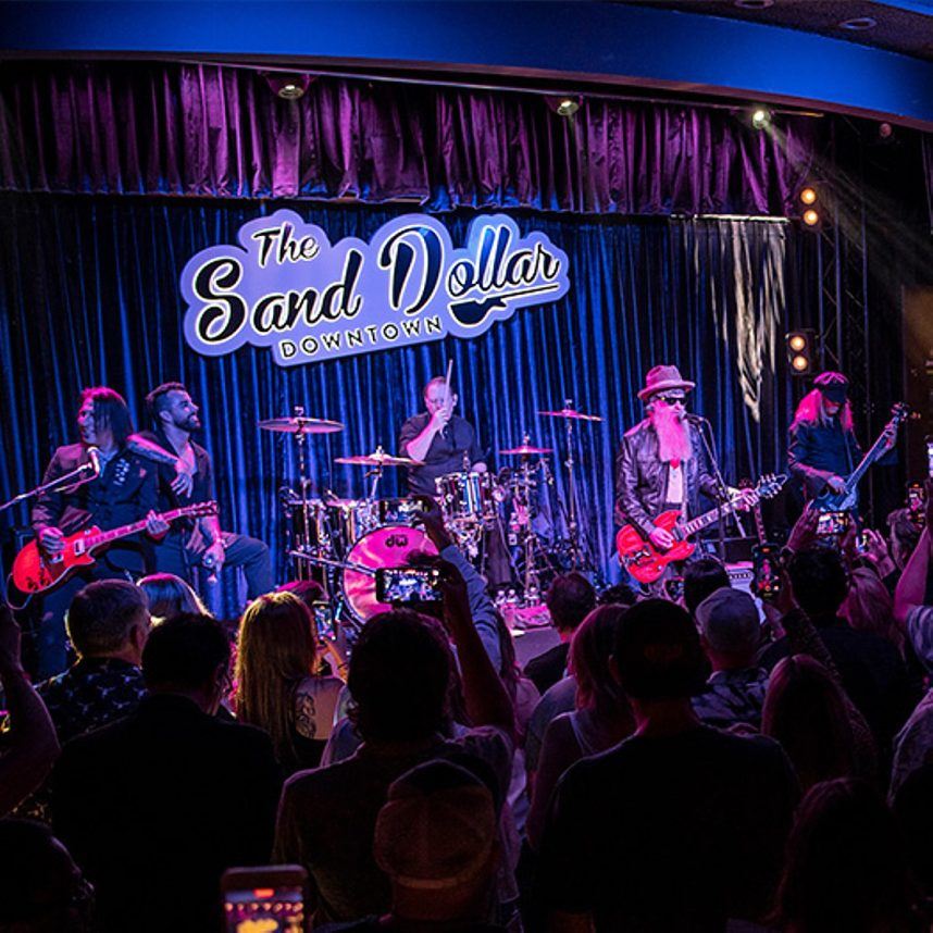 Billy Gibbons performance