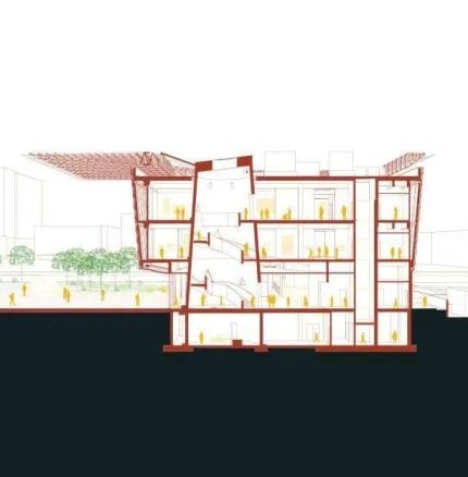 Museum section perspective