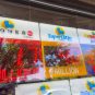 Powerball jackpot Christmas Eve lottery numbers