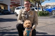 Pup Abandoned at Las Vegas Airport Adopted by Officer Who Rescued Him