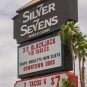 Las Vegas scorpion sting, Silver Sevens Hotel scorpion, Arizona bark scorpion Las Vegas, scorpion in hotel room, Las Vegas hotel pest control