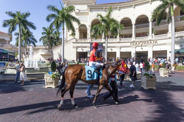Florida decoupling bill, Gulfstream Park, Florida horse racing industry, racetrack decoupling Florida, Tampa Bay Downs