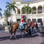 Florida decoupling bill, Gulfstream Park, Florida horse racing industry, racetrack decoupling Florida, Tampa Bay Downs