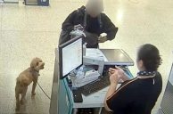 Woman Who Abandoned Dog at Vegas Airport Misses Court