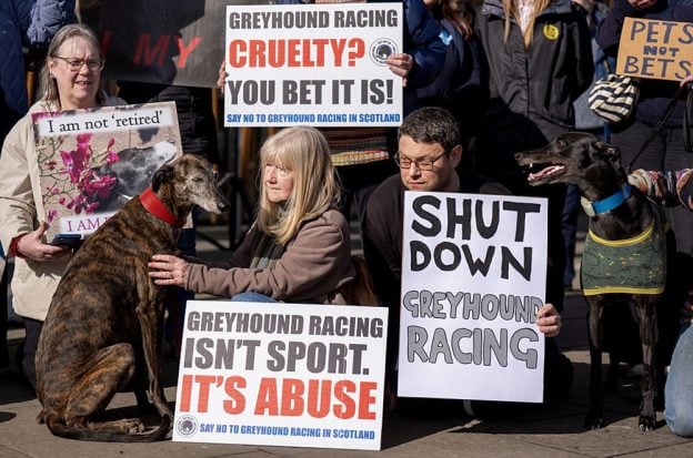 greyhound racing ban, UK animal welfare, Scotland greyhound racing, Wales greyhound ban, England greyhound racing