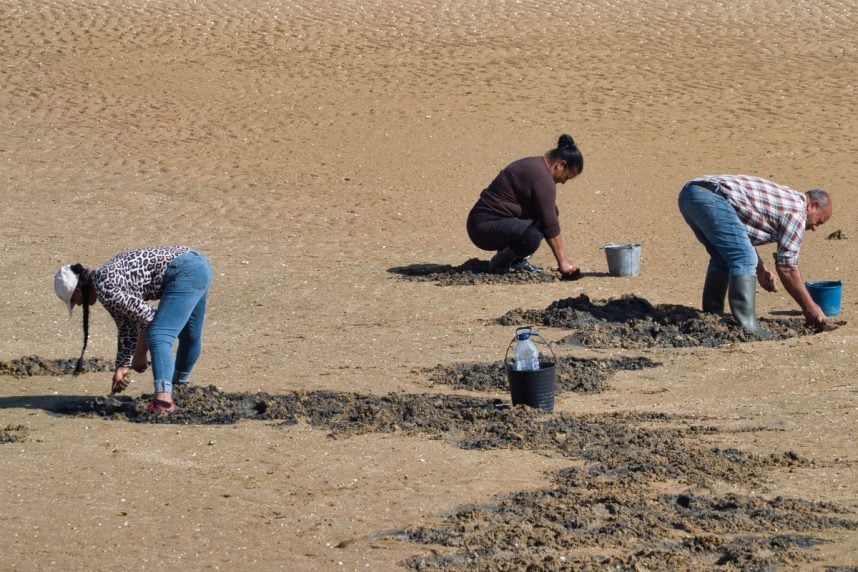 Washington clams tribal casino Lummi Nation