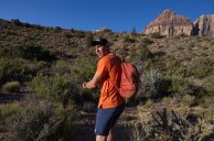 Yes, That Was Alex Honnold Climbing the Las Vegas Sphere — Here’s Why