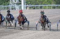 Ontario’s Rideau Carleton Raceway Is Under Threat—and Locals Are Fighting Back
