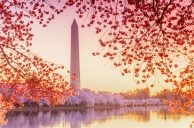 DC Council Weighs Pros and Cons of Legalizing iGaming in the District