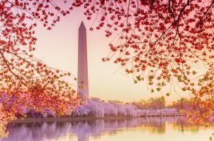 Washington DC iGaming online casinos