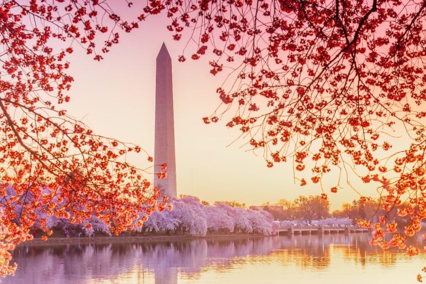 Washington DC iGaming online casinos