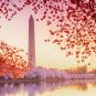 Washington DC iGaming online casinos
