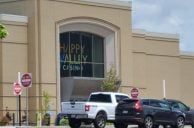 Happy Valley Casino Pennsylvania GGR