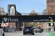 UPenn Neuroscientist: The Human Brain Is Wired for Risky Bets