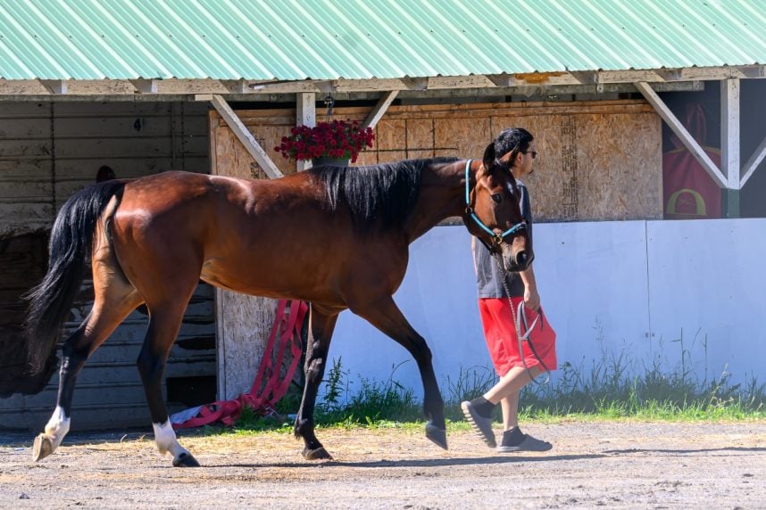 Saratoga barn fire New York Gaming Commission