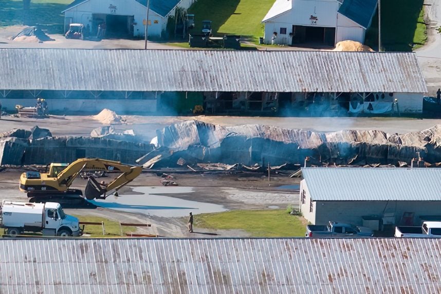 Saratoga Casino barn fire horses dead