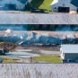 Saratoga Casino barn fire horses dead