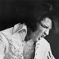 VEGAS MYTHS BUSTED: Elvis Sang “Viva Las Vegas” in Concert Even Once
