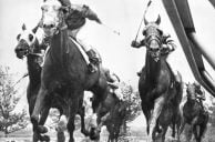 End of an Era: Aqueduct Racetrack Sets Final Race Day After 132 Years