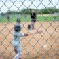 Little League theft crime gambling