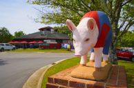 North Carolina’s Pending Sports Betting Tax Hike Expected to Yield Negligible Revenue Bump