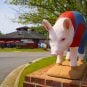 North Carolina sports betting tax