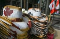 Alberta iGaming Market Expands as Polymarket Geo-Blocks Province
