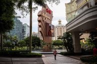 Wynn Macau Takes Measures to Protect Guests From Dengue Fever-Carrying Mosquitoes