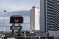 California Family Sues Casino After Live Bat in Hotel Room Triggers Rabies Panic