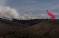 Reno Casinos Offer Resort Fee-Free Rooms Starting at $49 to Hawk Fire Evacuees