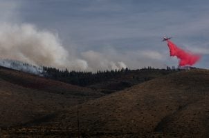 Reno Casinos Offer Resort Fee-Free Rooms Starting at $49 to Hawk Fire Evacuees