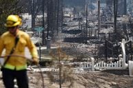 Congressman Moves to Ban Wildfire Prediction Markets Over Arson Fears