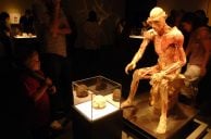 VEGAS MYTHS BUSTED: Mom Spotted Her Son’s Body in Horseshoe Las Vegas Exhibit