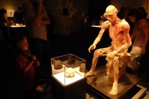 VEGAS MYTHS BUSTED: Mom Spotted Her Son’s Body in Horseshoe Las Vegas Exhibit