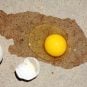 VEGAS MYTHS BUSTED: You Can Fry an Egg on the Sidewalk in Summer
