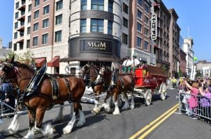 Springfield Files Lawsuit Against MGM; Operator Accuses City of Stalling Sale