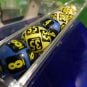Montana Lottery, Intralot, Bob Brown, lottery contract, Montana gambling