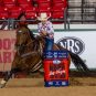 South Point Casino, Las Vegas horse stabbing, South Point horse attack, juvenile court, barrel racing