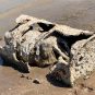 Officials Identify Body Found in Barrel on Drying Lake Mead Shore in 2022
