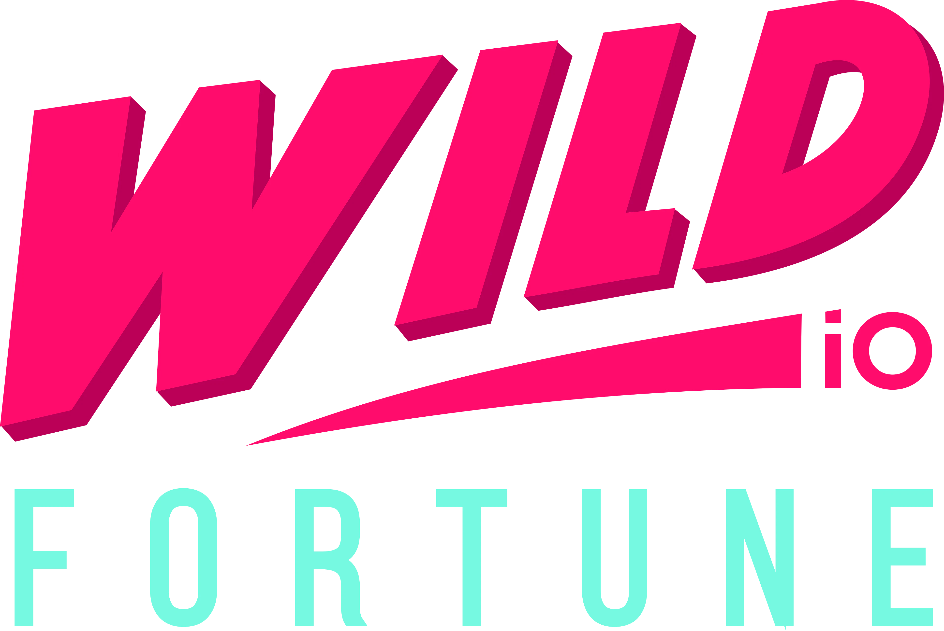 Wild Fortune Casino