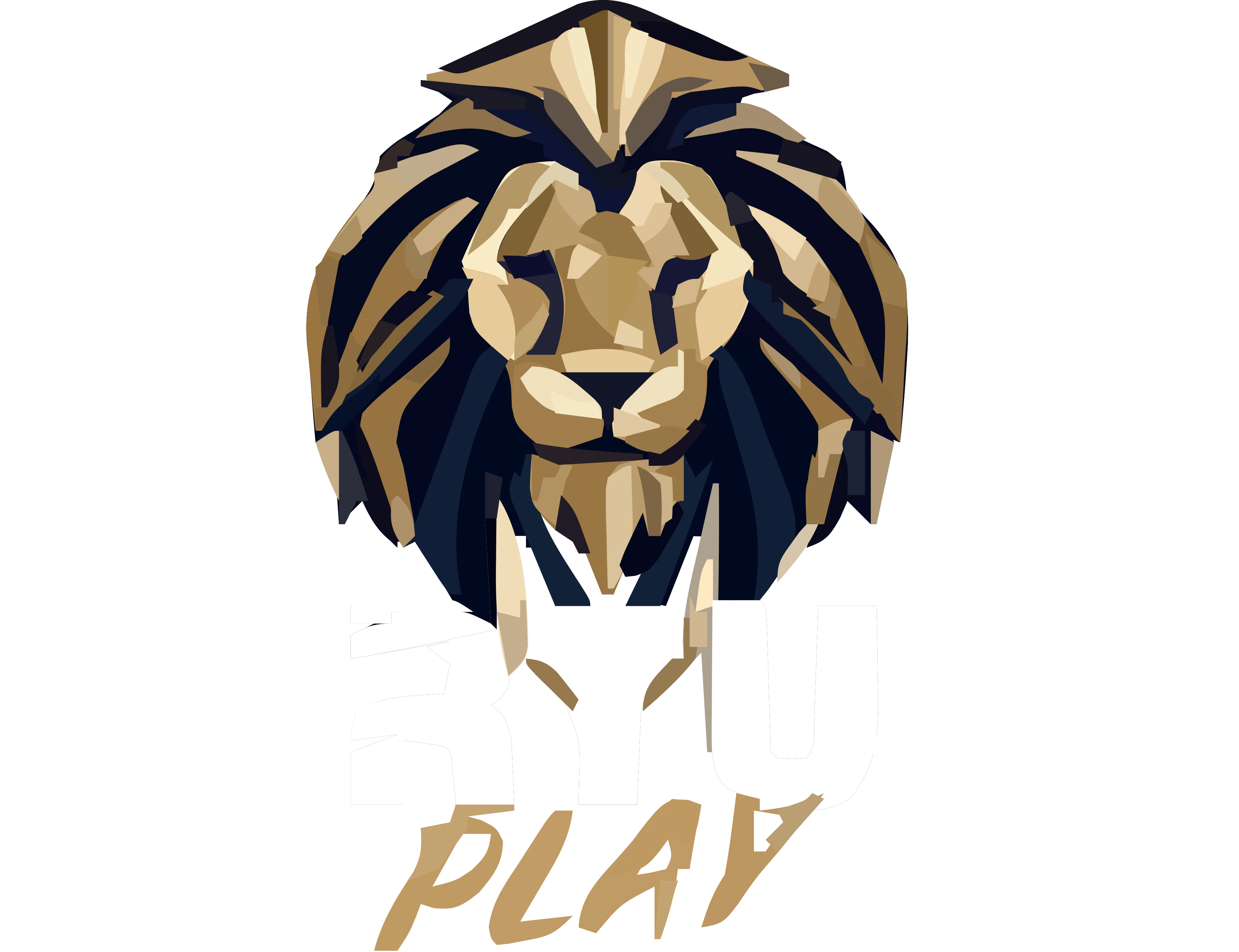 Fortune Play Casino