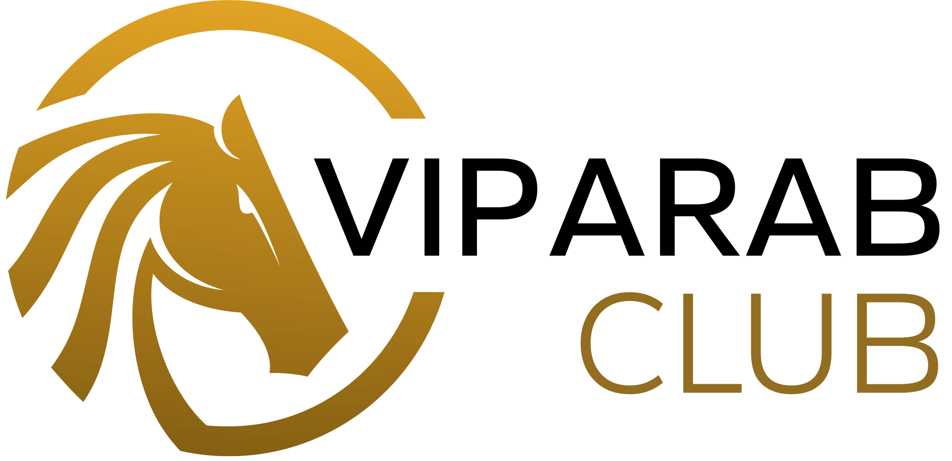 VIP Arab Club Casino