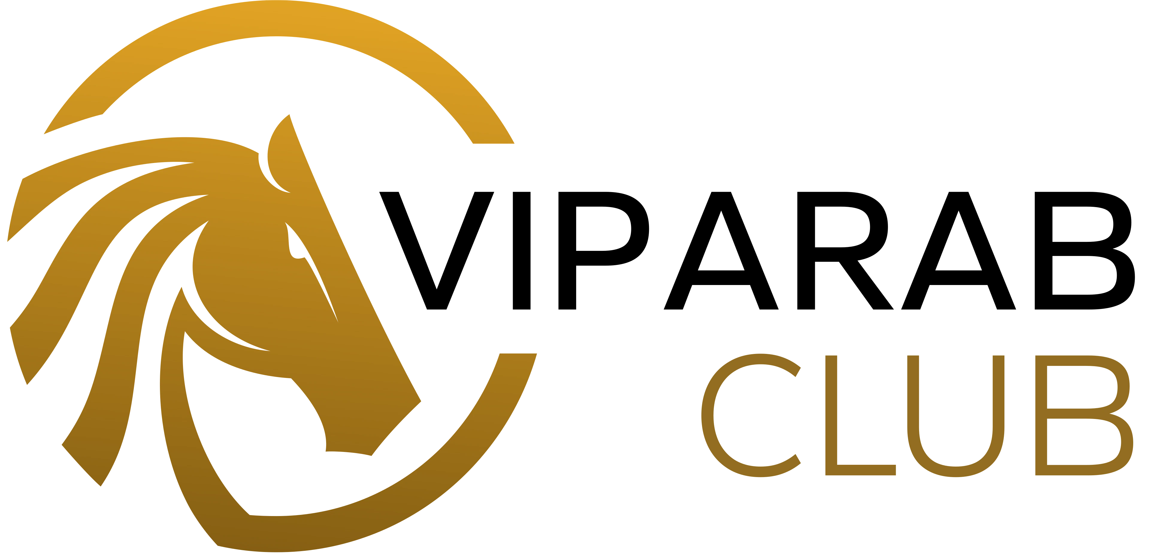 VIP Arab Club Casino