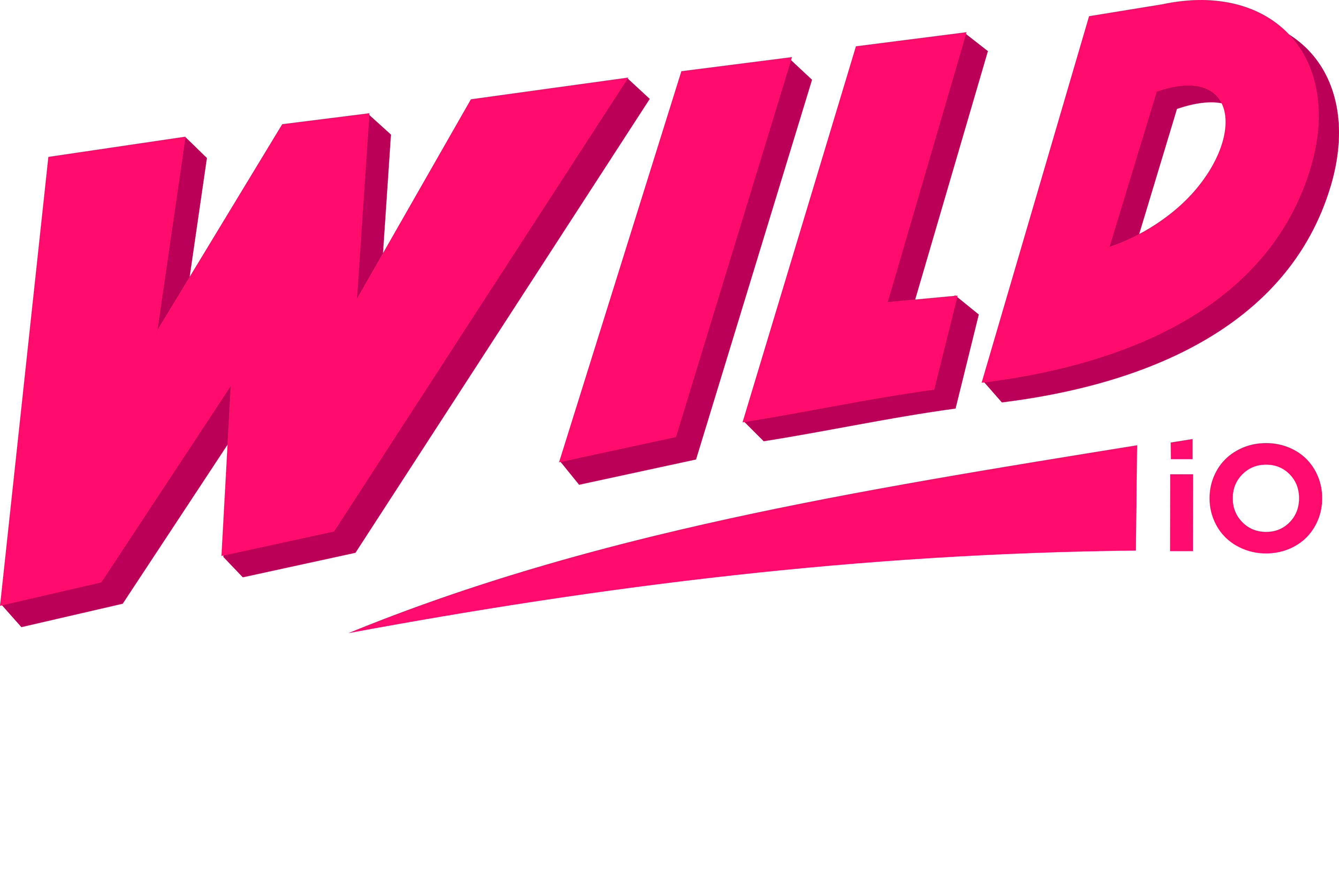 Wild Fortune Casino
