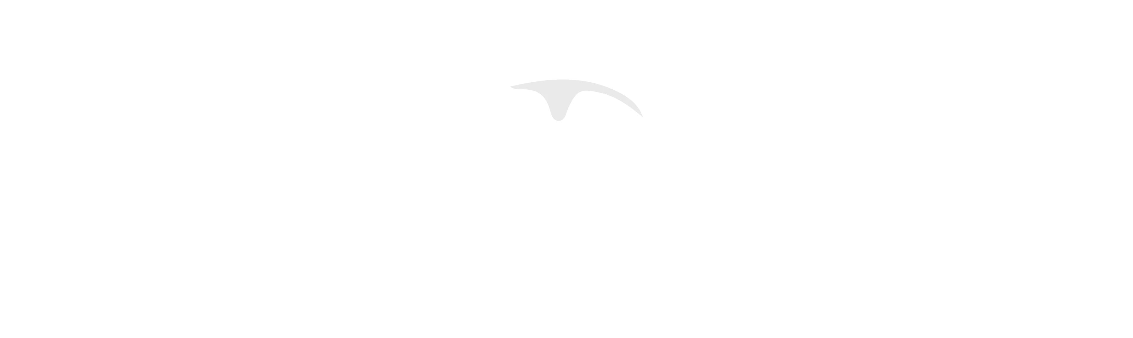 Lonestar Casino