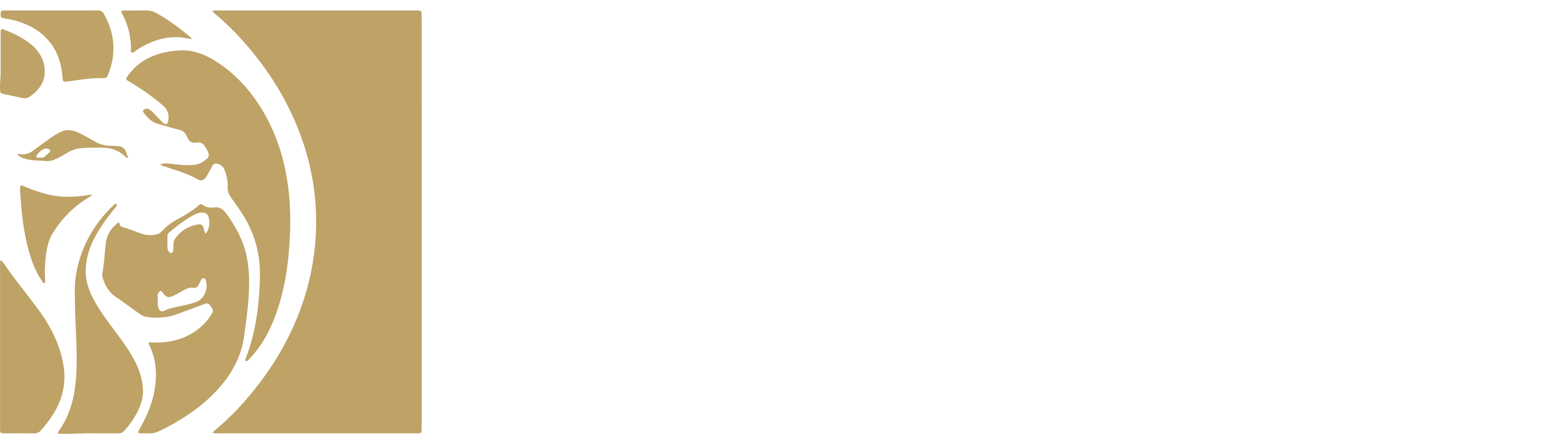 BetMGM Casino