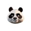 SpinPanda Casino