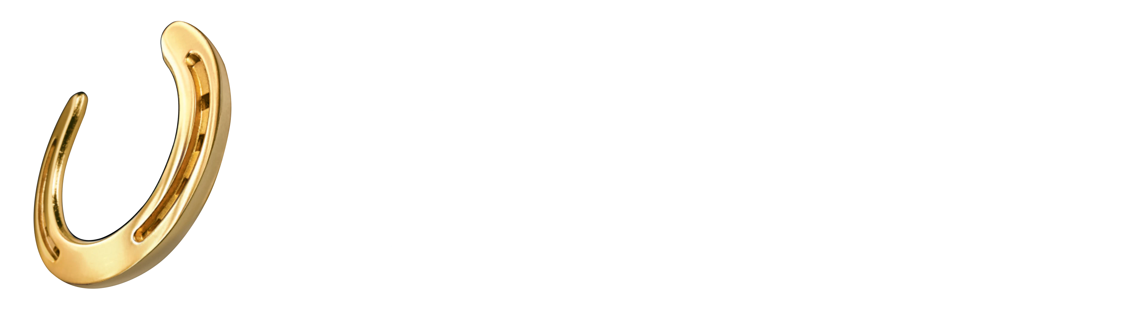 Horseshoe Casino