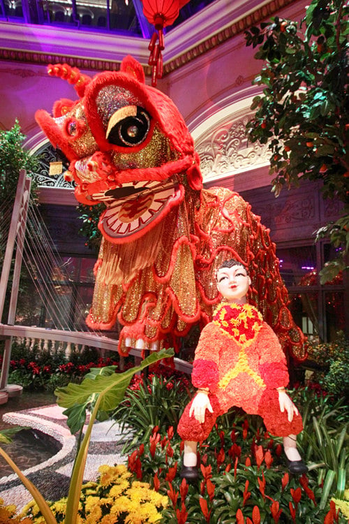 Chinese New Year Means Days of Swine and Roses at Bellagio Conservatory