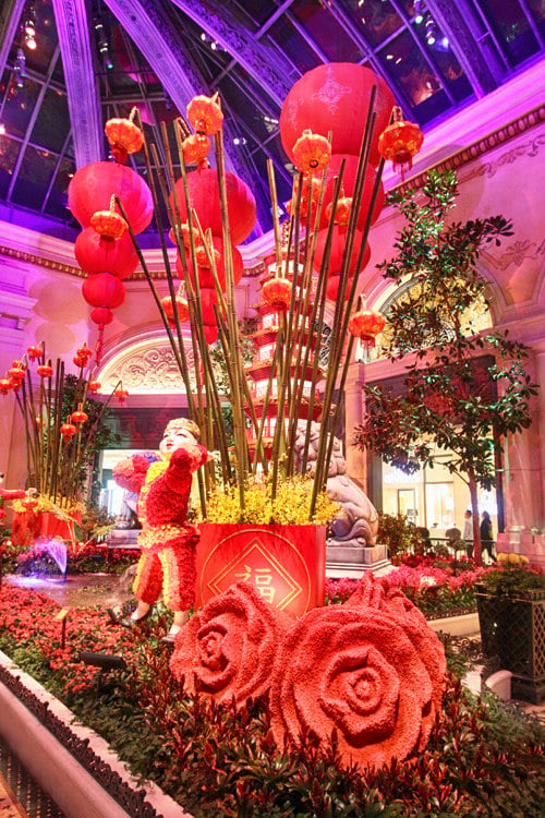 Chinese New Year Means Days of Swine and Roses at Bellagio Conservatory